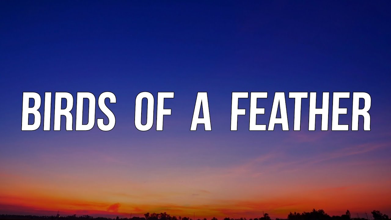 Billie Eilish - BIRDS OF A FEATHER (Lyrics) - YouTube