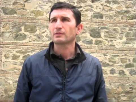 დასუფთავების აქცია