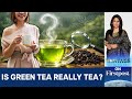 India's Food Regulator Cracks Down on Herbal Tea. Here's Why | Vantage with Palki Sharma | N18G