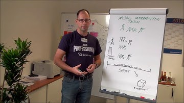 The Nexus Integration Team Explained