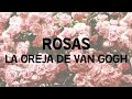 La Oreja de Van Gogh - Rosas [Lyrics]