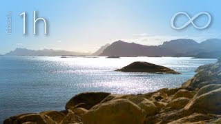 Download Lagu Relaxing music: calm and peaceful, focus, study, stress relief music [N°130 - 1h] MP3
