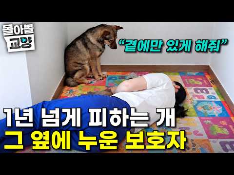 “He’s my dog, but I’ve never touched him.” Shu, a former stray dog, has been living with us for 1...