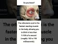 intresting facts about eyes