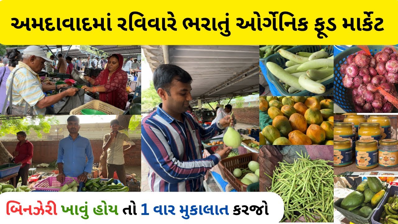 અમદાવાદ નું સૌથી મોટું ઓર્ગનીક માર્કેટ | ahmedabad organic vegetable market | organic market
