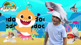 Baby Shark doo doo doo doo .  Kids Songs and Nursery Rhymes from LukiLife