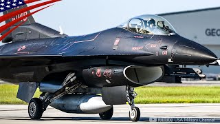 Black Viper - Wraith & Venom Painted F-16 Fighter Jets