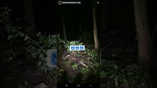 #shorts #horrorshorts #creepy #scary #paranormal #ghost #haunted #caughtonlive #jumpscare #horror