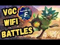 Teal Mask is the BEST Ogerpon!! Pokemon VGC Reg F Competitive Doubles Wifi Battle