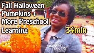 Fall Pumpkins Halloween + More Preschool Activities