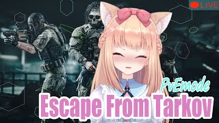 [EFT]PvE  脱出目指してストーリーやる！[参加型]