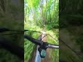 This is a beautiful section of singletrack #downhillmtb #mountainbiking #shortsfeed