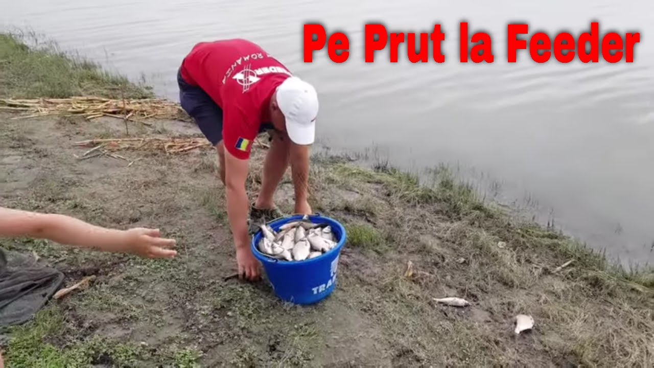 Pescuit la Prut cu Feeder-ul