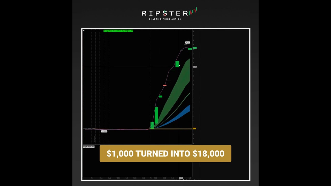 How To Grow Your Account With 