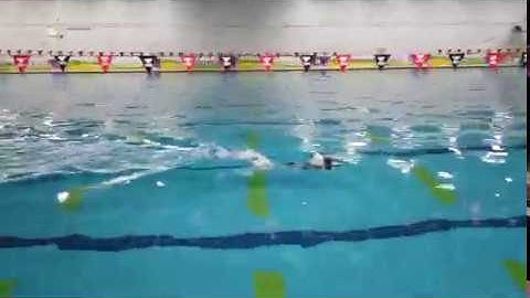 [HKU Engineering] RoboFish - Guinness World Record for Fastest 50 m swim by a robotic fish