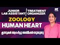 JUNIOR LAB ASSISTANT (MEDICAL EDUCATION DEPARTMENT AND  TREATMENT ORGANIZER II ZOOLOGY I HUMAN HEART