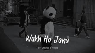 Wakh Ho Jana(slowed+reverb) | Reet Resimi