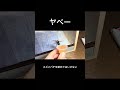 スズメバチを舐めてはいけない #shorts