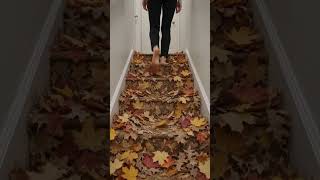 Would You Walk Up Through Dry Leaves?