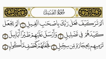 سورة الفيل كامله بصوت فضيلة الشيخ ياسر الدوسري 🤍🕊️