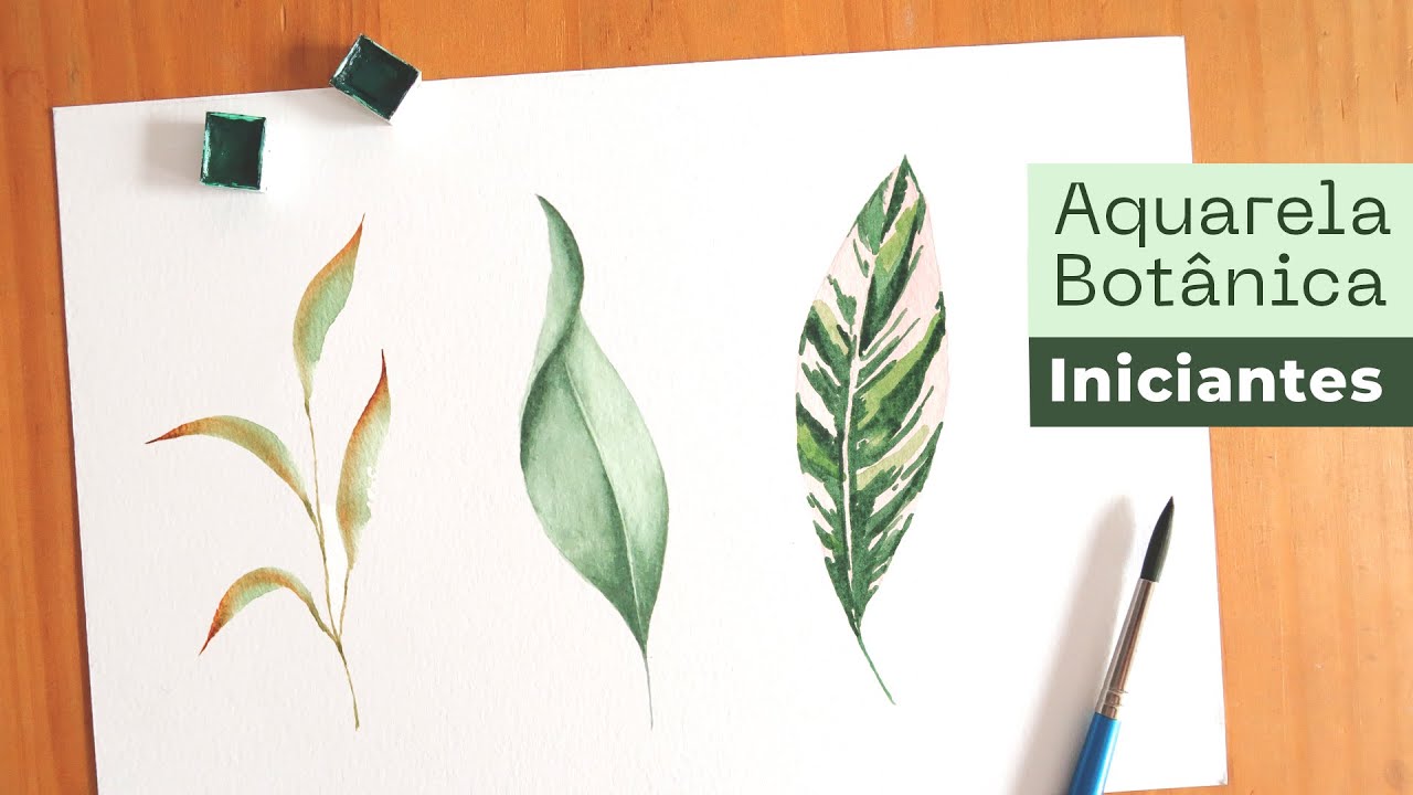 AQUARELA Folhas para iniciantes