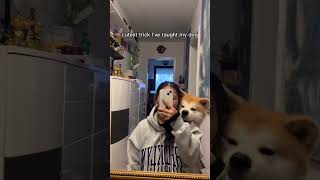 Cutest Trick Ive Taught My Dog 🥹🧡