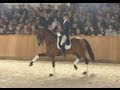 Edward Gal & United - stallion show van Uytert - YouTube