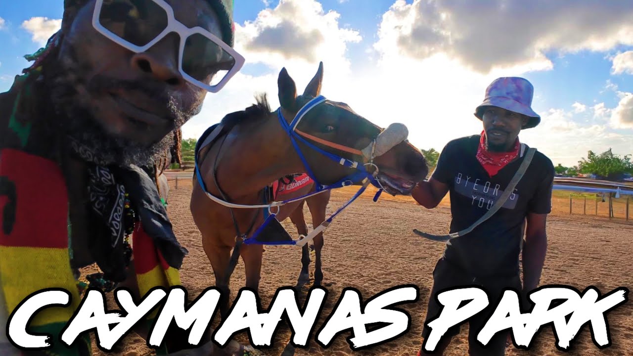 Inside Jamaica's Only Horse Racing Track Caymanas Park 🇯🇲 YouTube