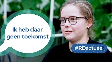 Hoe gaat het met Oekraïners in IJsselmuiden? | RDactueel #69 | RD
