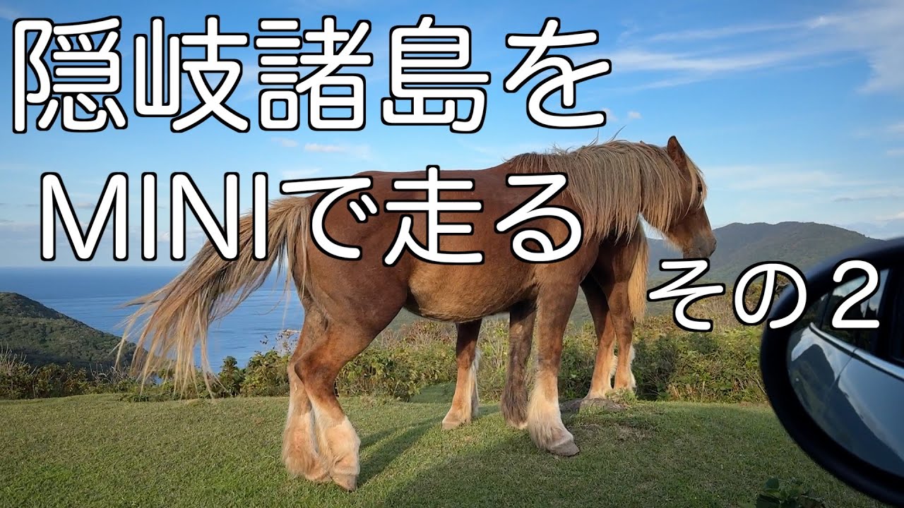 島前を巡り、後鳥羽上皇の配流の謎を知り、断崖絶壁の海岸を満喫