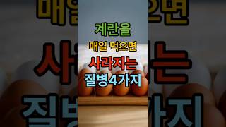 계란을 매일 먹으면 사라지는 질병4가지!