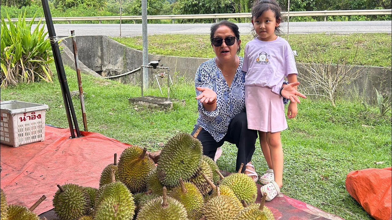 Durian Hunting with friends at Temburong Brunei 🇧🇳 ब्रुनेइ मा दुरीयन खाको पलहरु 