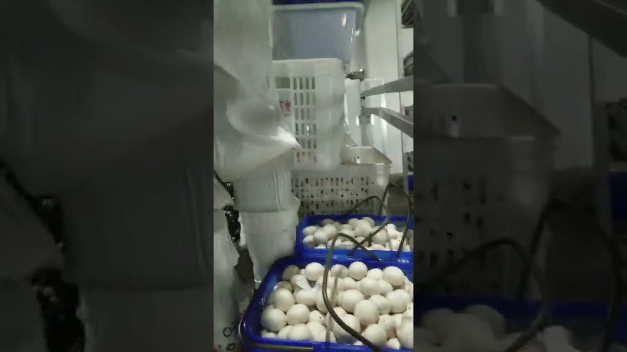 GTM Mushroom Aluminum Manual Picking Lorry