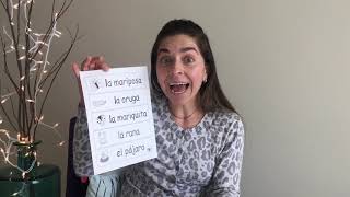 Spanish Worksheet Activity