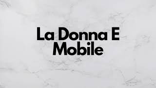 Video thumbnail of "La Donna E Mobile Instrumental - Rigoletto"