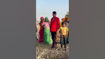 बाजरे के खेत में निकला १० फुट का अजगर 🐍 #viralshort