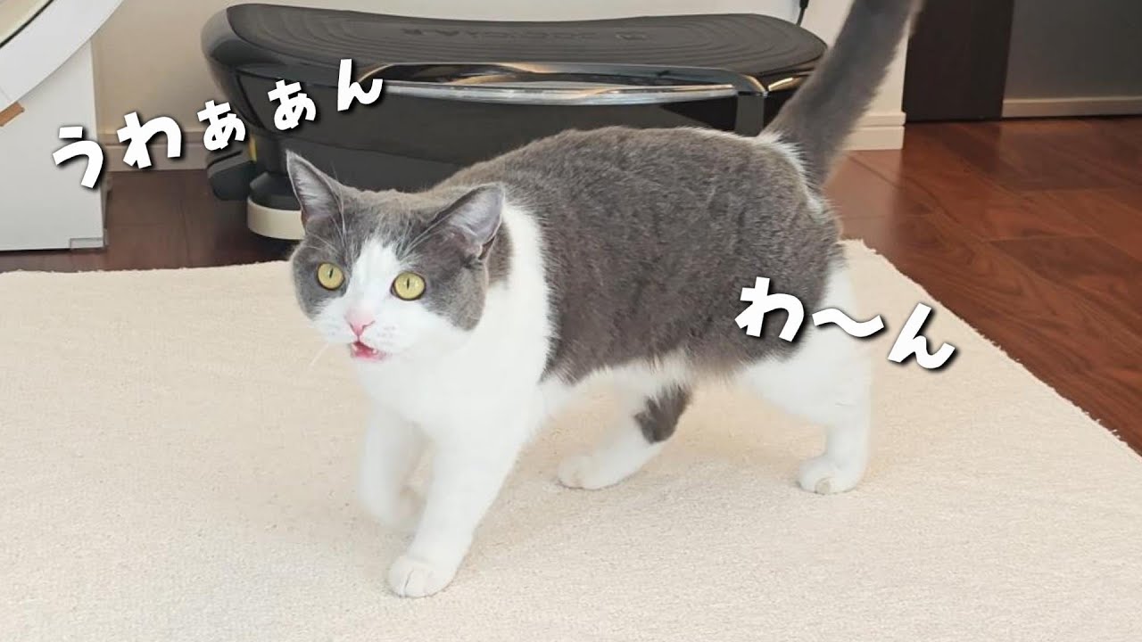 maxresdefault.jpg