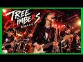 【あのCM覚えてる?】木村カエラ『TREE CLIMBERS』をお嬢様が鳴らしたら、2006年が蘇った。