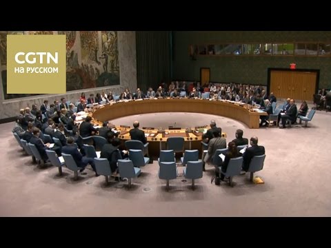 Россия наложила вето на проект резолюции СБ ООН по предполагаемой химатаке в провинции Идлиб