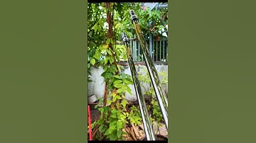 Gác Cần Câu - Cán Vợt - Huyền Vũ RS Vuakong #cauca #fishing #nhacauca #fishinghouse