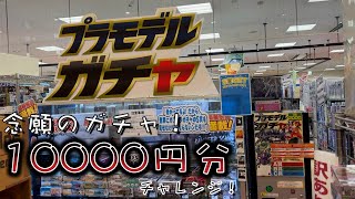 岐阜で見つけたプラモデルガチャを10000円分回した！