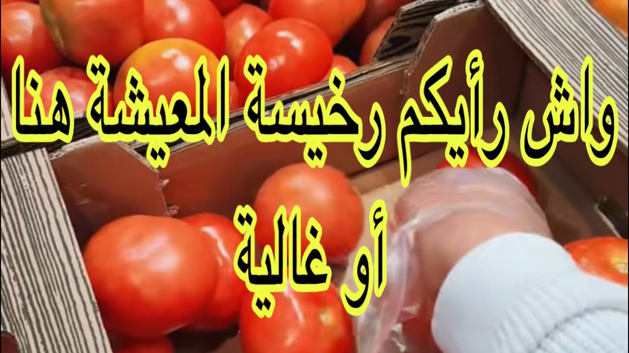 هالمعيشة في إسبانيا دما جديد أسعار المواد الغذائية