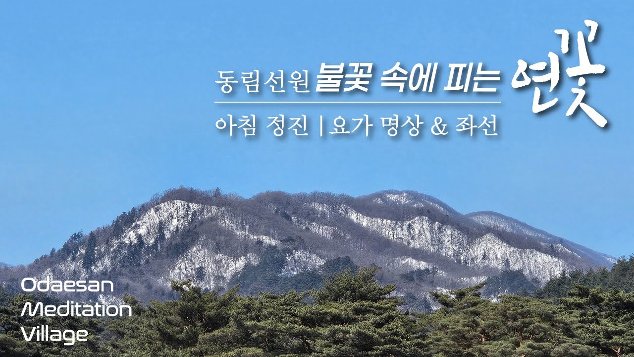 불꽃 속에 피는 연꽃 | 2026.1.18. (일) 아침 정진 | 동림선원 대중 스님과 함께하는 요가 명상 & 좌선 명상 | Meditation Daily Guided