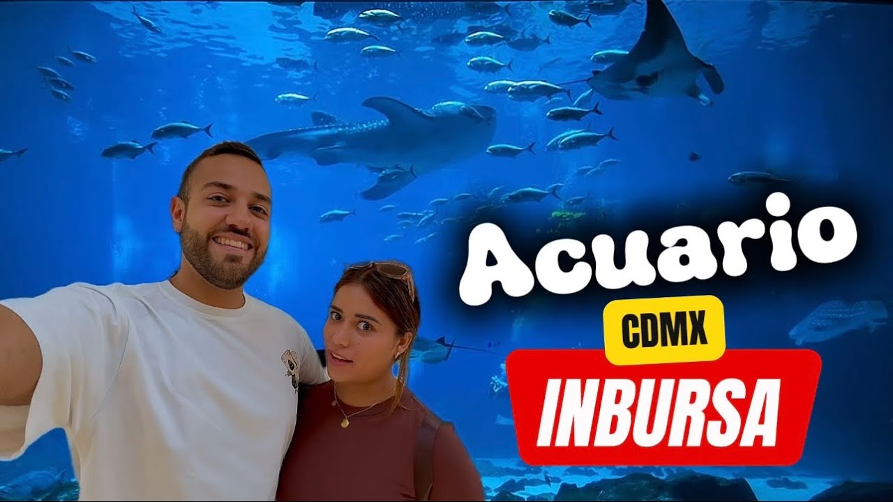 Visitamos MEGA ACUARIO en la CDMX🦈🇲🇽|Mi MUJER Cubana REACCIONA por Primera Vez😱|Un encuentro MÁGICO🤩