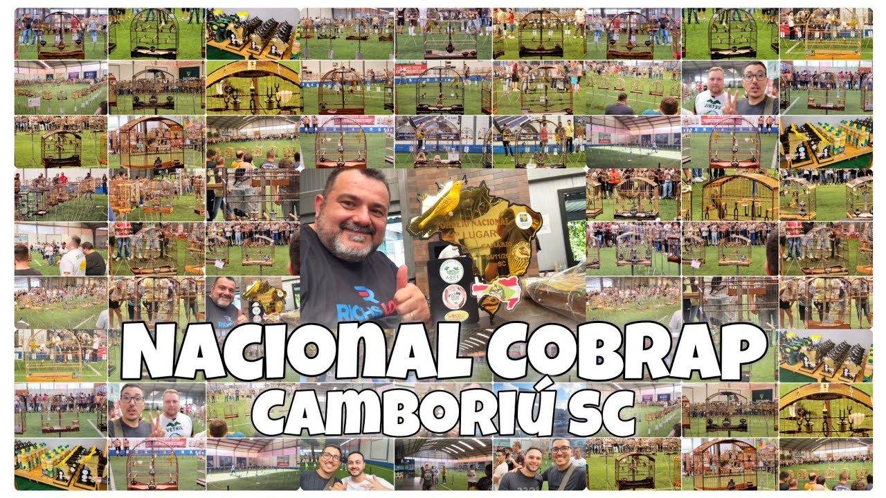 Torneio Nacional Cobrap Etapa Camboriú Trinca Ferro Coleiro Canário da Terra Azulão Tiziu