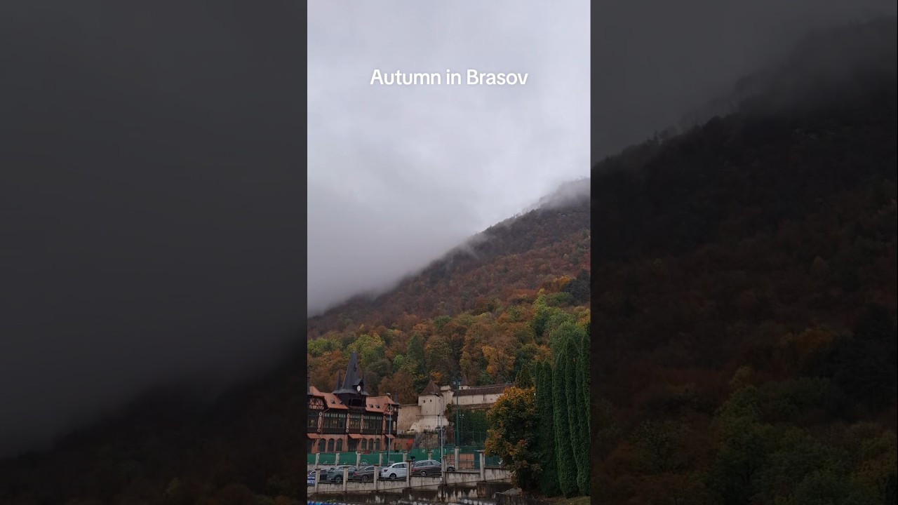 #travel #viral #fy #halloween #landscape #romania #pumpkinseason #brasov #autumn #nature #forest