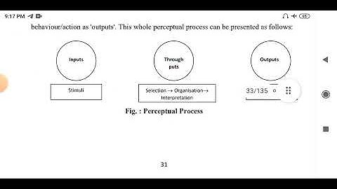 Revision Time part 3 Organizational behavior (Perception)