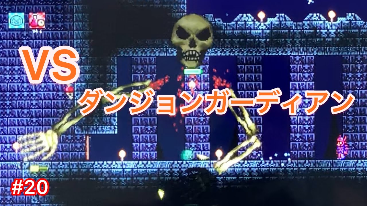 【Switch版テラリア実況】#20  VSダンジョンガーディアン