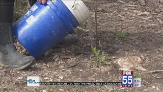 Here's how you can celebrate Earth Day in northeast Indiana this weekend