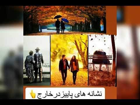 تصویری: عاشقانه پاییزی در کشور